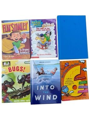 Assorted Elementary Kids Chapter Books, Good Used Condition, Homeschool, School